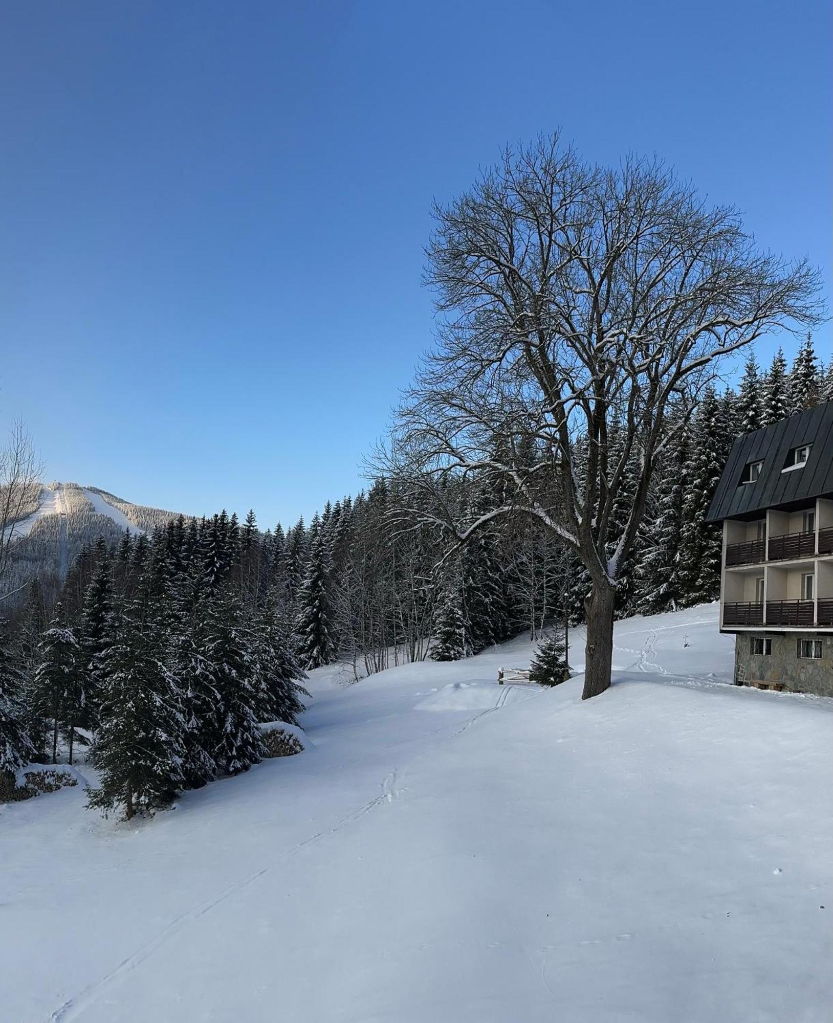 Hotel Horní Pramen Špindlerŭv Mlýn Exterior foto